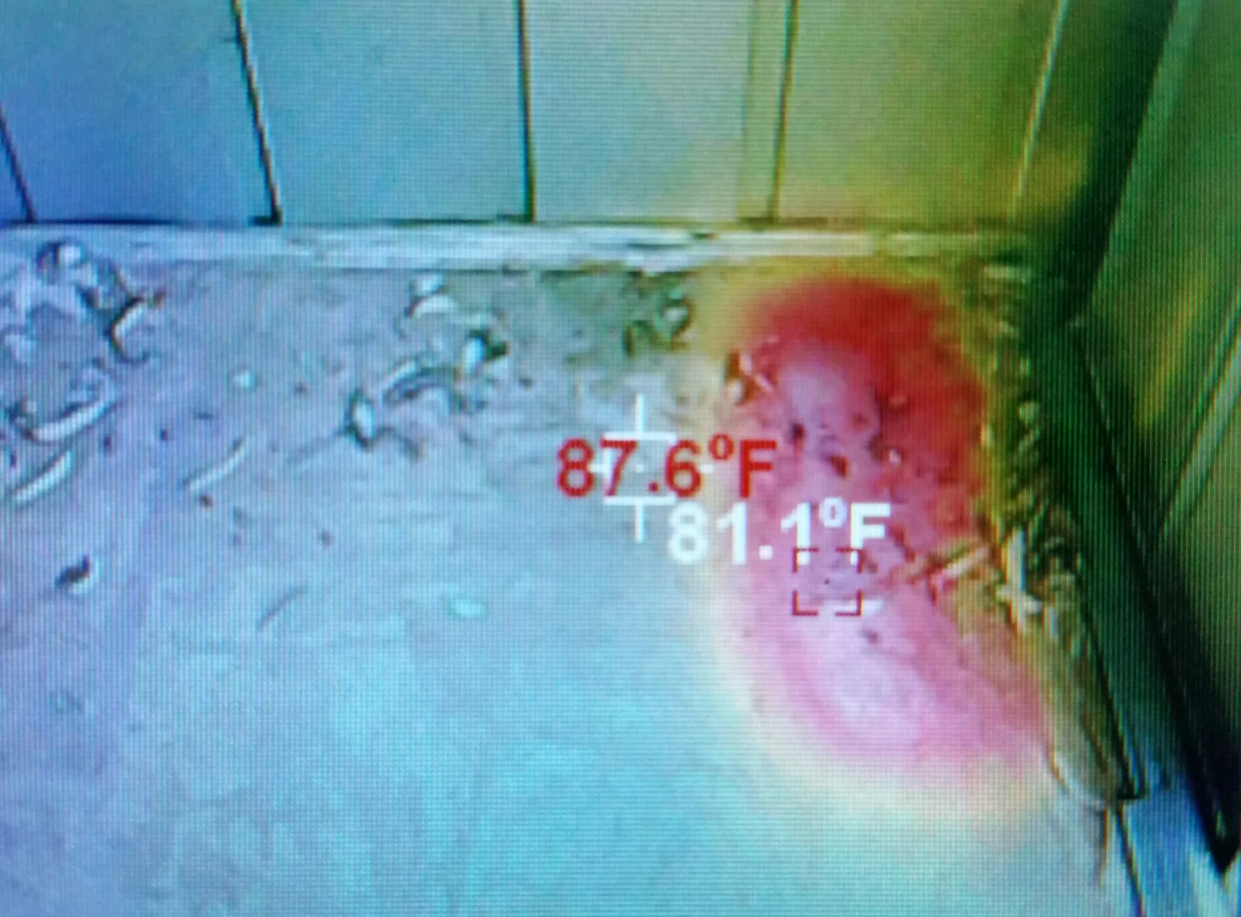 Bee removal inspection in Mohave Valley shed with plywood floor