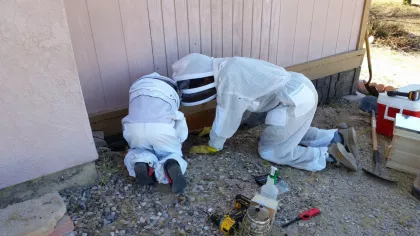 Bee removal scene in Bullhead City, Arizona, under a wooden porch deck