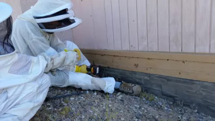 Some time was spent on accessing the hive