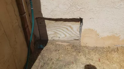Bee removal from crawl space of stucco home in Needles, CA
