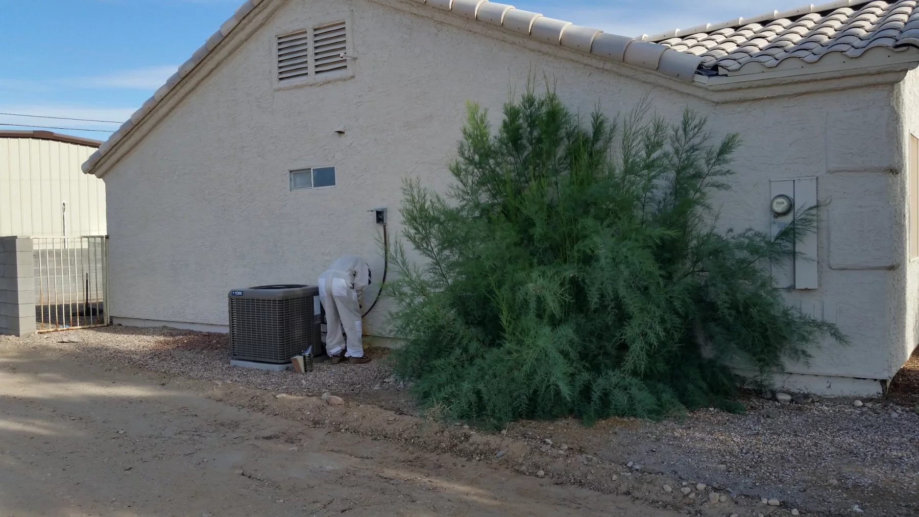 Bee removal inspection in Fort Mohave stucco wall near HVAC equipment
