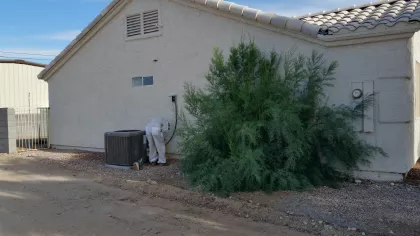 Bee removal inspection in Fort Mohave stucco wall near HVAC equipment