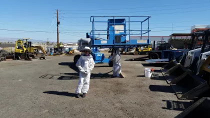 Bee removal from the boom of a lift truck in Lake Havasu City
