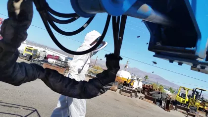 Wherever the bees are we Have the tools and equipment to safely remove them for you