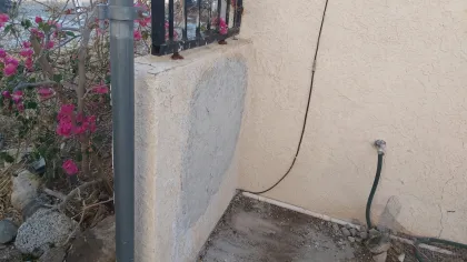 We not only remove the bees and comb, we treat and remediate the interior of the wall, repair the initial problems that allowed the bees to enter the wall, and perform all repairs.