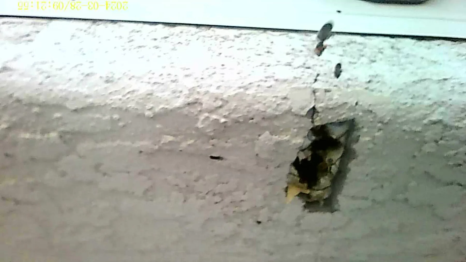 Bee removal inspection in Fort Mohave stucco garage with damage on the soffit