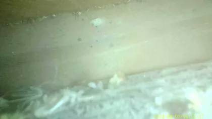 The cost of inspection more than pays for itself with remediation proactively