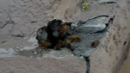 Stucco damage particularly at the top or bottom of bump outs or columns is a likely source of entry