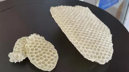Even though the bees had just entered the day before they were already in the process of making several sheets of comb