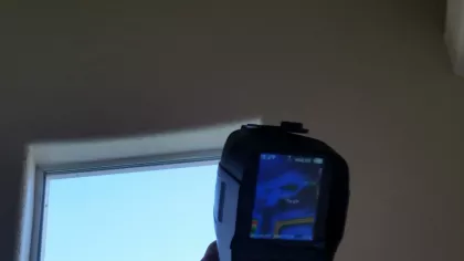 A thorough inspection including thermal scans of the wall put the homeowner's mind at ease and ensured no bees had colonized