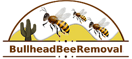 Bullhead Bee Removal, Fort Mohave Arizona