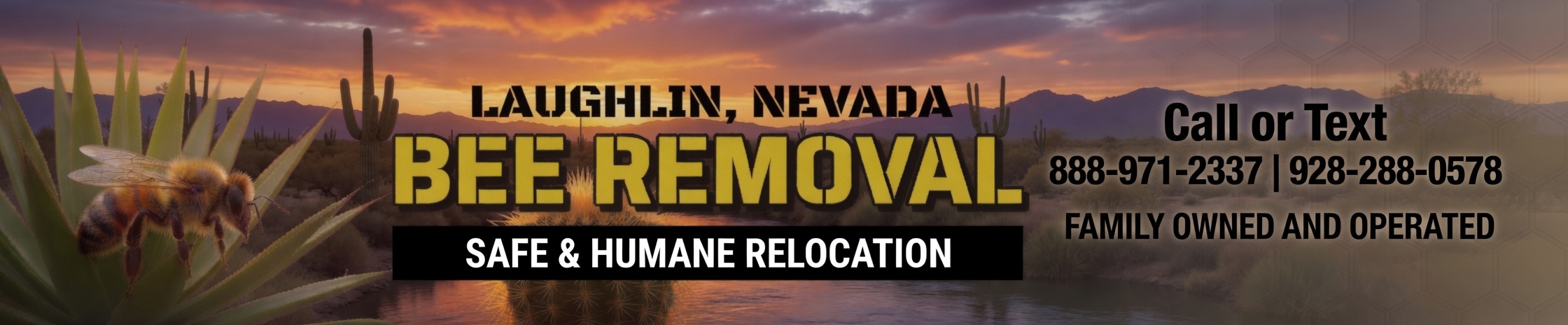 Bee removal Laughlin Nevada