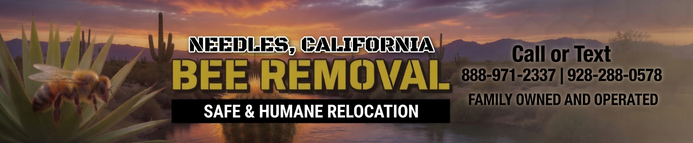 Bee removal Needles California