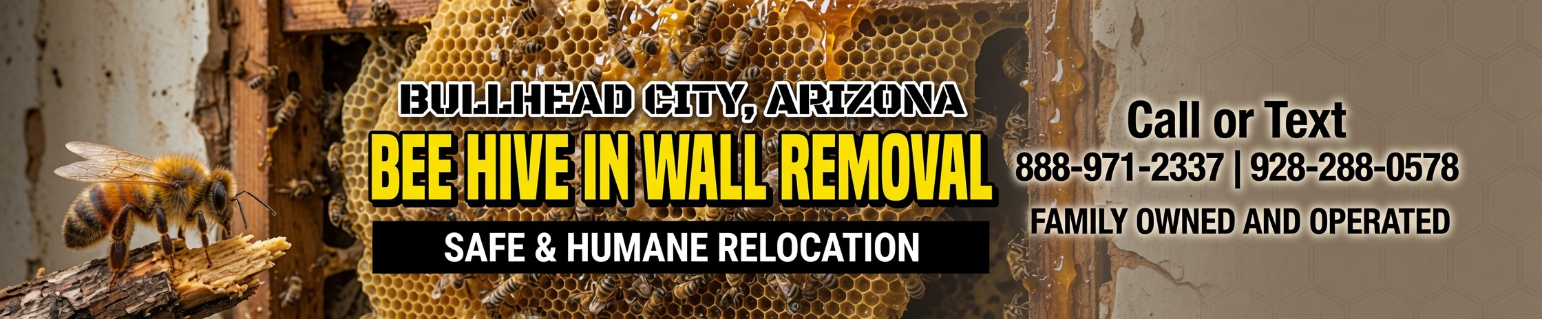 Bee hive inside wall removal Arizona