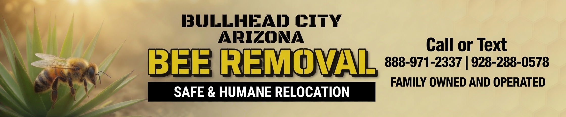 Bee Removal Bullhead City Arizona