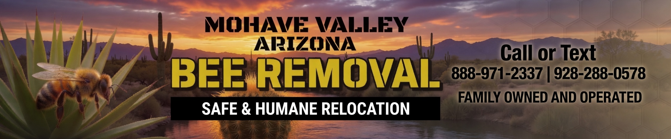 Bee removal Mohave Valley Arizona